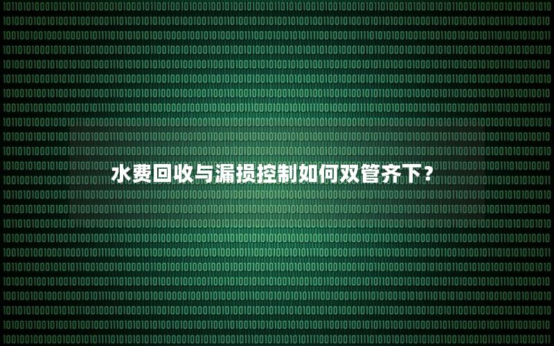水费回收与漏损控制如何双管齐下？