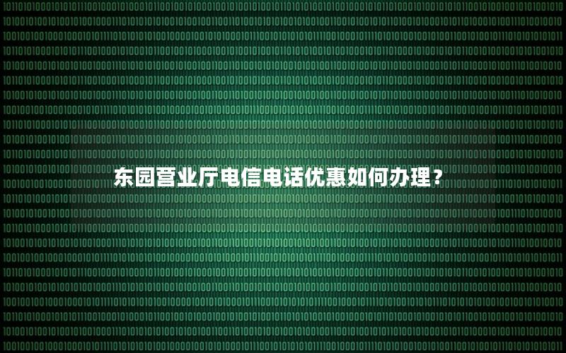 东园营业厅电信电话优惠如何办理？