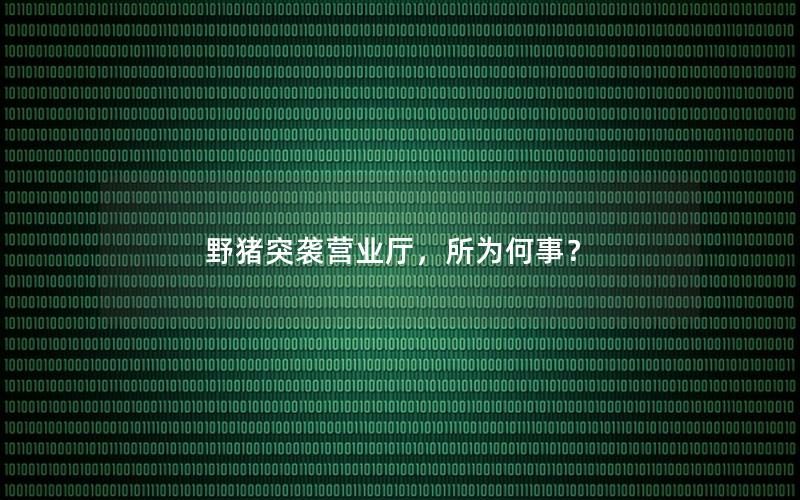 野猪突袭营业厅，所为何事？