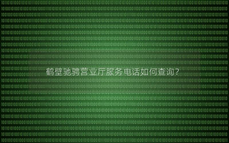 鹤壁驰骋营业厅服务电话如何查询？