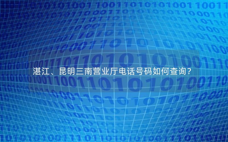 湛江、昆明三南营业厅电话号码如何查询？