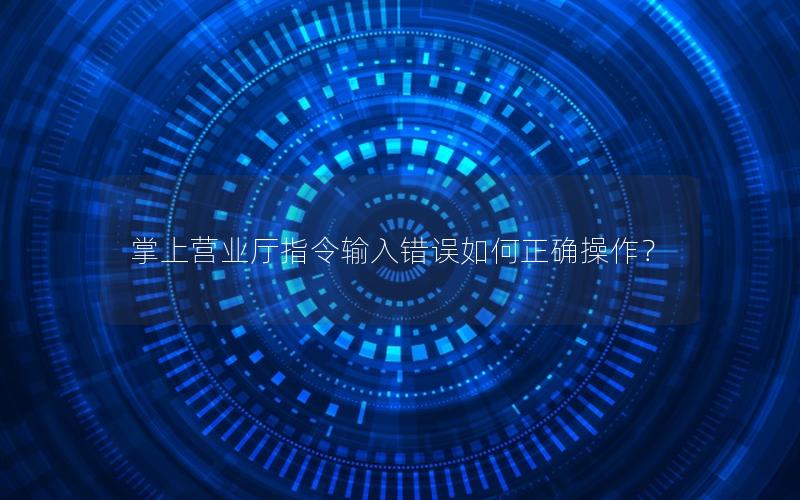 掌上营业厅指令输入错误如何正确操作？