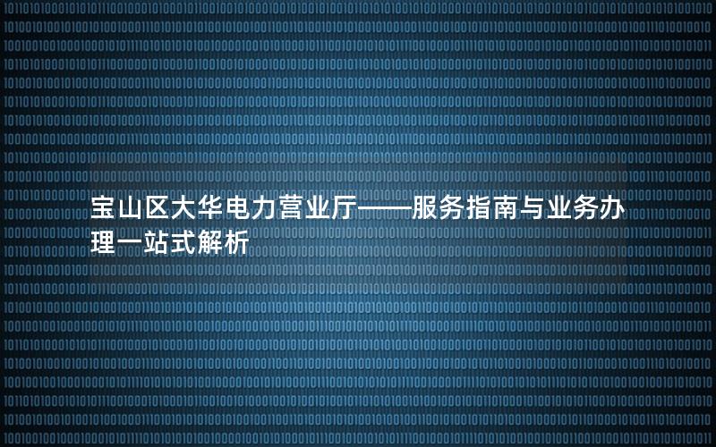 宝山区大华电力营业厅——服务指南与业务办理一站式解析