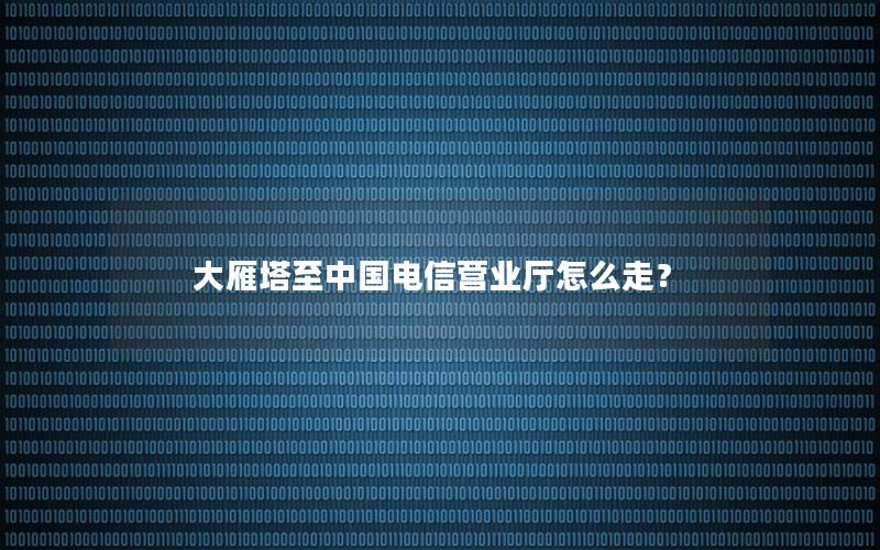 大雁塔至中国电信营业厅怎么走？