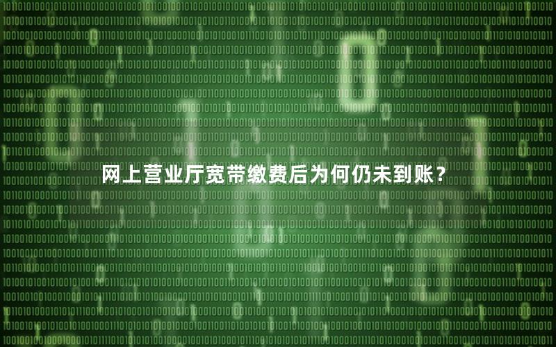 网上营业厅宽带缴费后为何仍未到账？