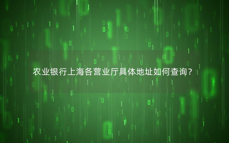农业银行上海各营业厅具体地址如何查询？