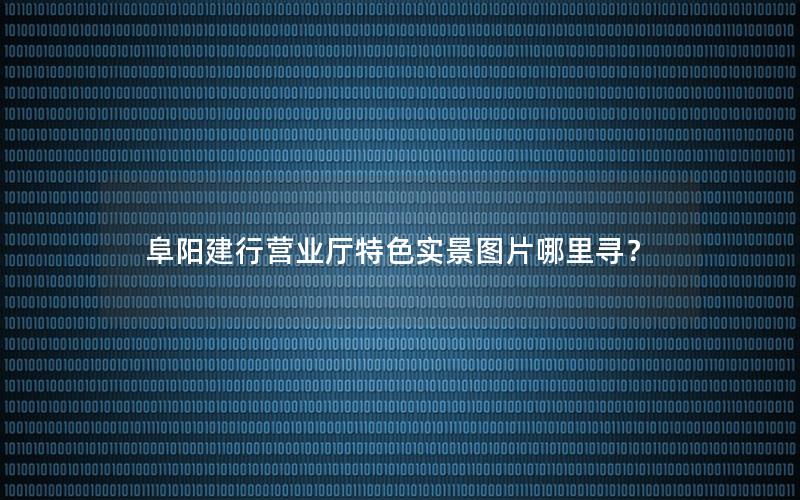 阜阳建行营业厅特色实景图片哪里寻？