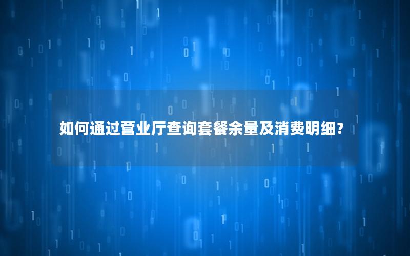 如何通过营业厅查询套餐余量及消费明细？