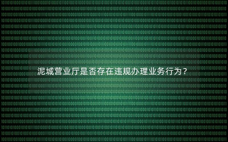 泥城营业厅是否存在违规办理业务行为？