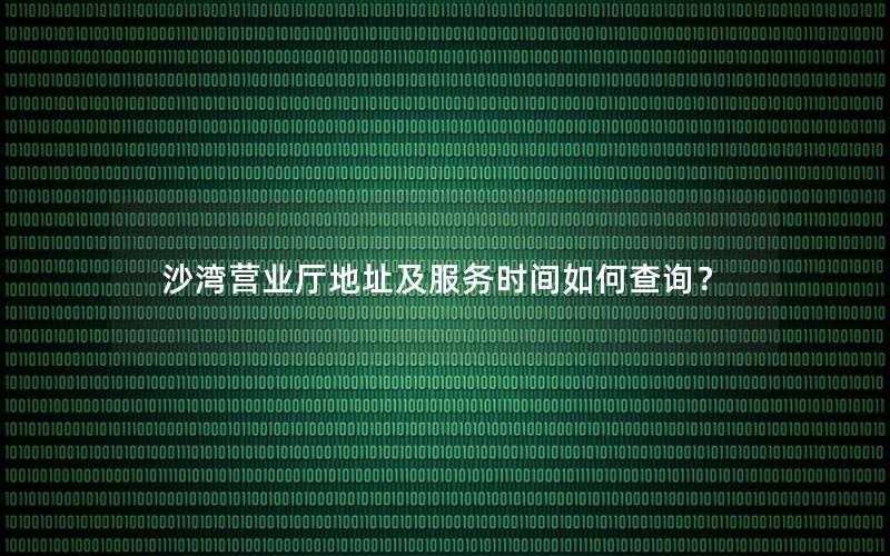 沙湾营业厅地址及服务时间如何查询？