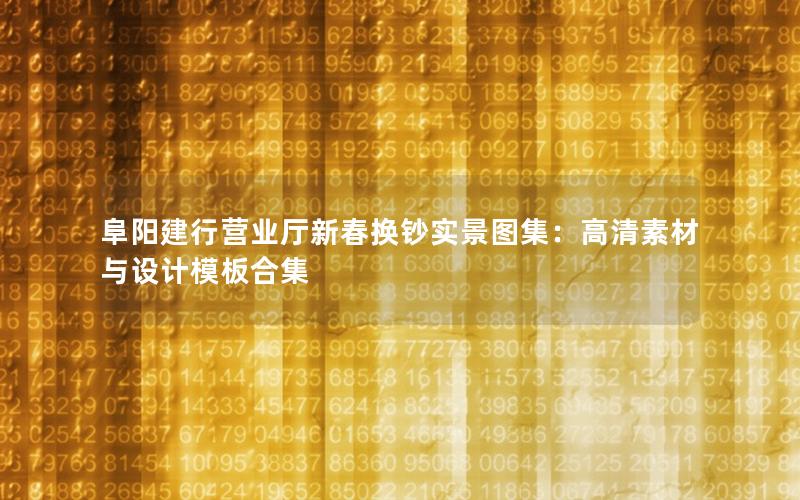阜阳建行营业厅新春换钞实景图集：高清素材与设计模板合集