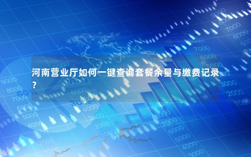 河南营业厅如何一键查询套餐余量与缴费记录？