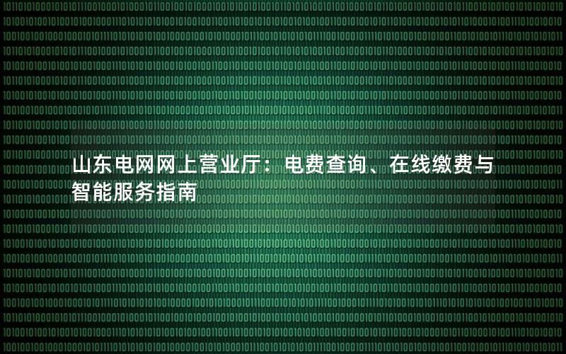 山东电网网上营业厅：电费查询、在线缴费与智能服务指南