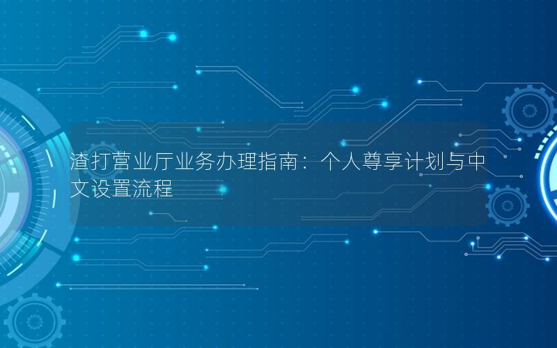 渣打营业厅业务办理指南：个人尊享计划与中文设置流程