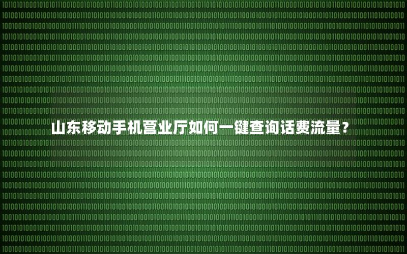 山东移动手机营业厅如何一键查询话费流量？