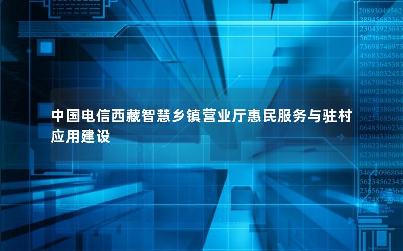 中国电信西藏智慧乡镇营业厅惠民服务与驻村应用建设