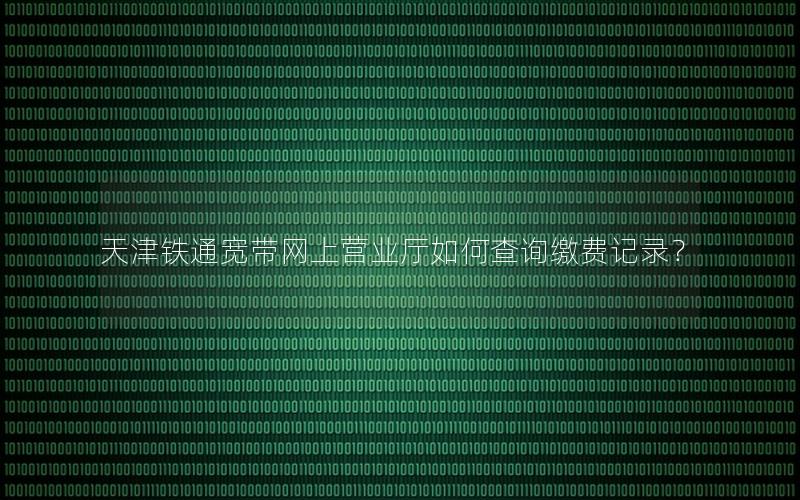 天津铁通宽带网上营业厅如何查询缴费记录？