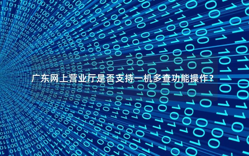广东网上营业厅是否支持一机多查功能操作？