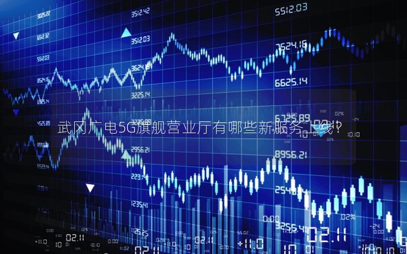 武冈广电5G旗舰营业厅有哪些新服务上线？