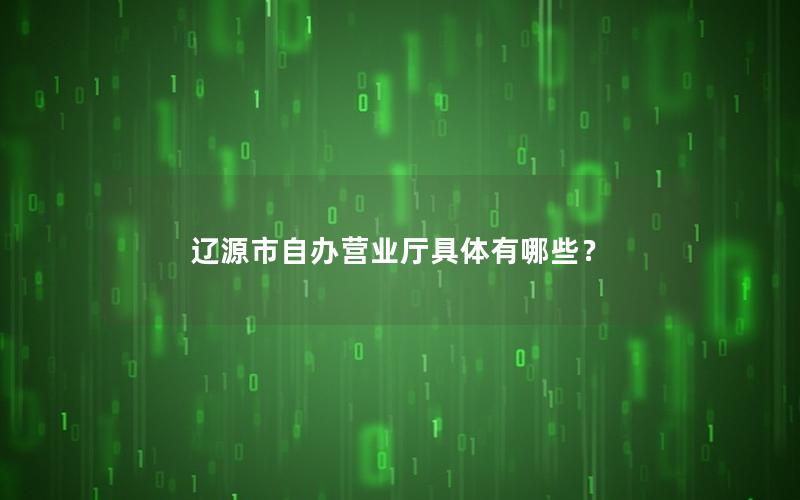 辽源市自办营业厅具体有哪些？