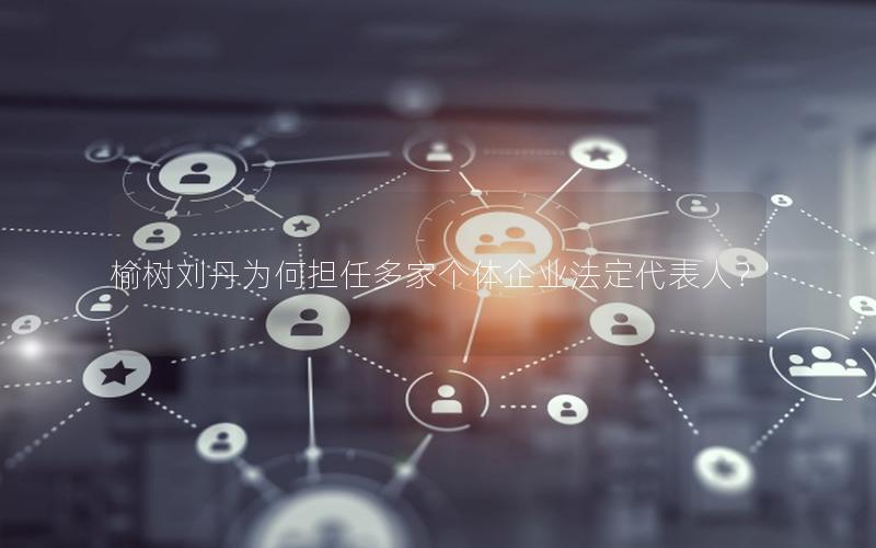 榆树刘丹为何担任多家个体企业法定代表人？