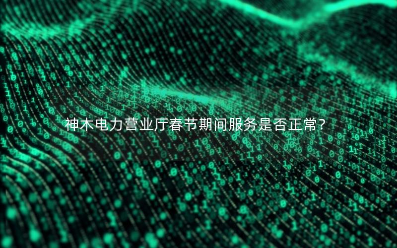 神木电力营业厅春节期间服务是否正常？