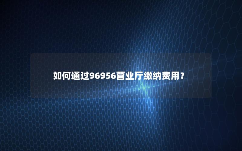 如何通过96956营业厅缴纳费用？