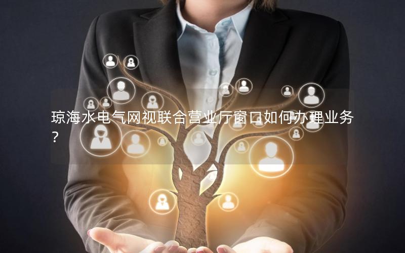 琼海水电气网视联合营业厅窗口如何办理业务？