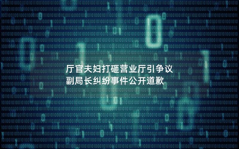 厅官夫妇打砸营业厅引争议 副局长纠纷事件公开道歉