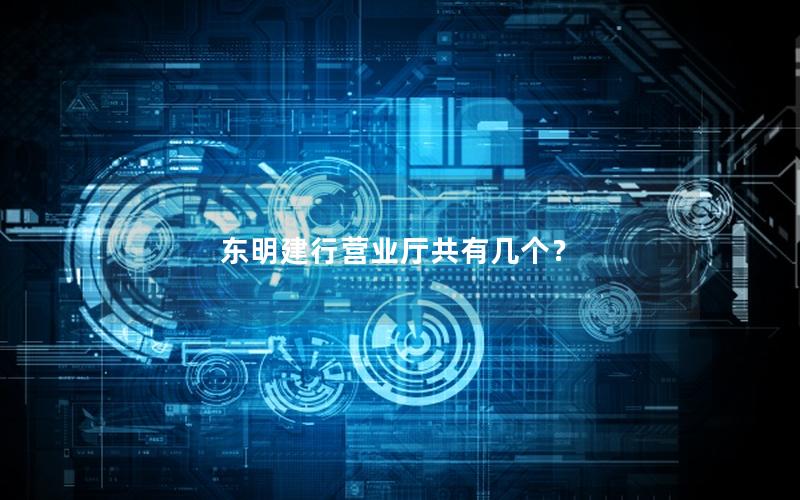 东明建行营业厅共有几个？