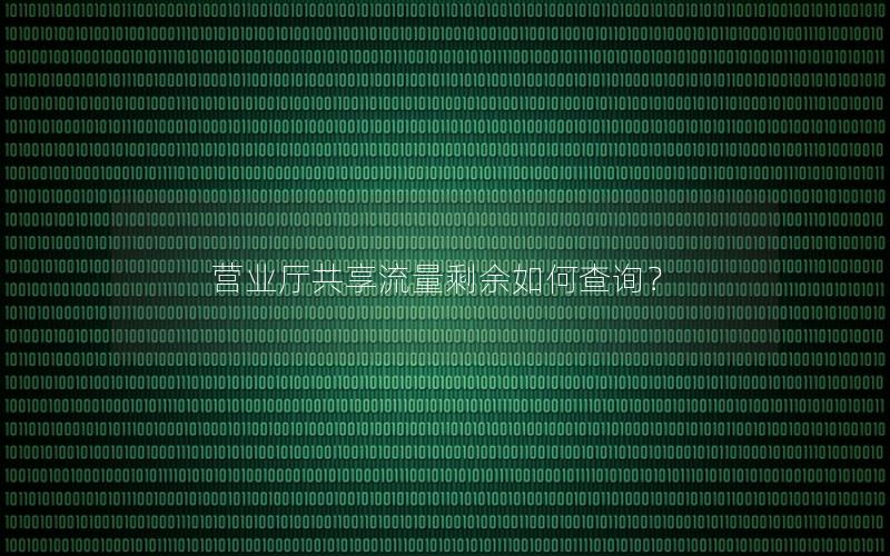 营业厅共享流量剩余如何查询？