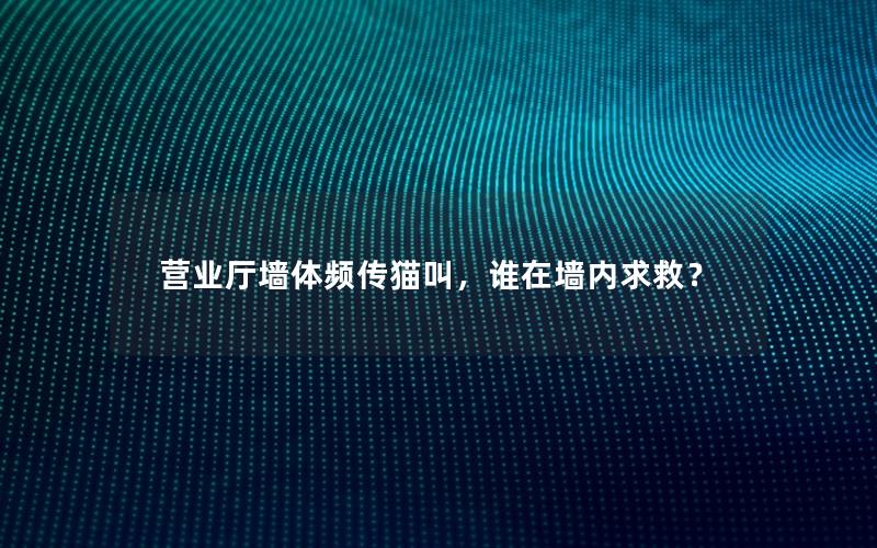 营业厅墙体频传猫叫，谁在墙内求救？