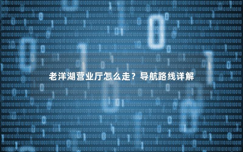 老洋湖营业厅怎么走？导航路线详解