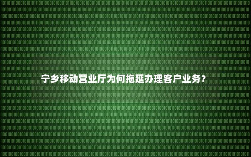 宁乡移动营业厅为何拖延办理客户业务？