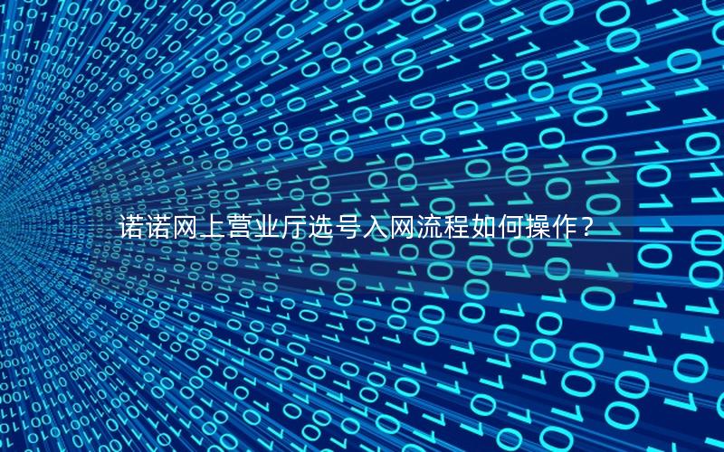 诺诺网上营业厅选号入网流程如何操作？