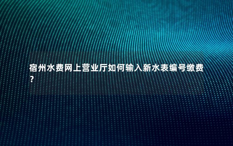 宿州水费网上营业厅如何输入新水表编号缴费？