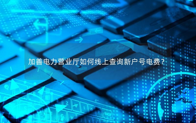 加善电力营业厅如何线上查询新户号电费？