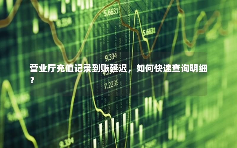 营业厅充值记录到账延迟，如何快速查询明细？