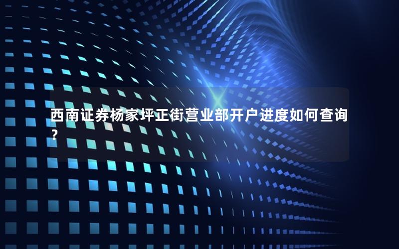 西南证券杨家坪正街营业部开户进度如何查询？