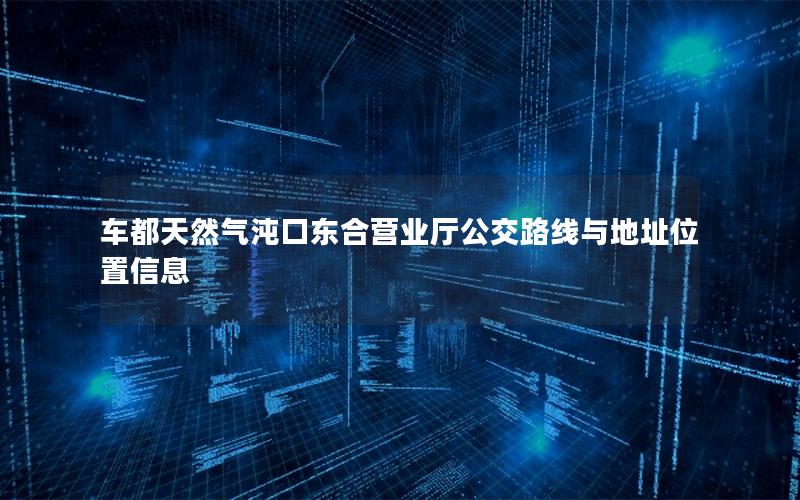 车都天然气沌口东合营业厅公交路线与地址位置信息