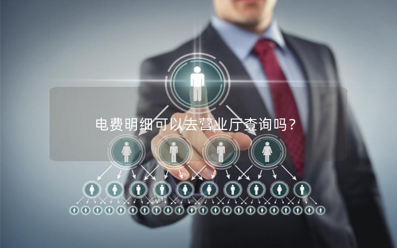电费明细可以去营业厅查询吗？