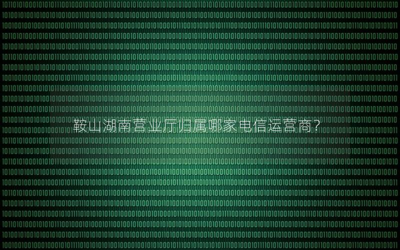 鞍山湖南营业厅归属哪家电信运营商？