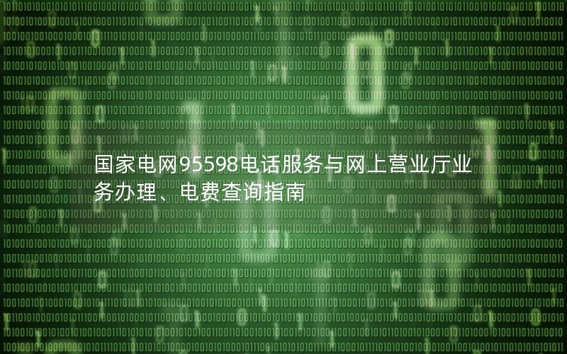 国家电网95598电话服务与网上营业厅业务办理、电费查询指南