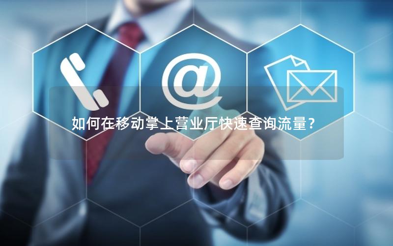 如何在移动掌上营业厅快速查询流量？