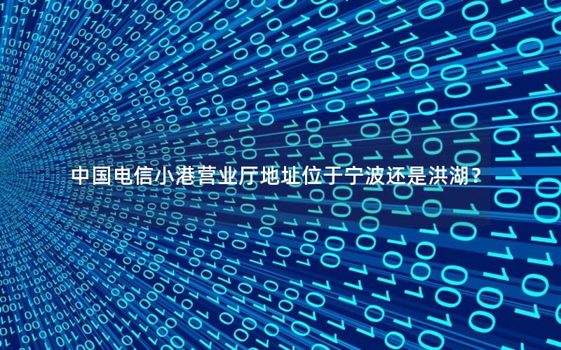 中国电信小港营业厅地址位于宁波还是洪湖？