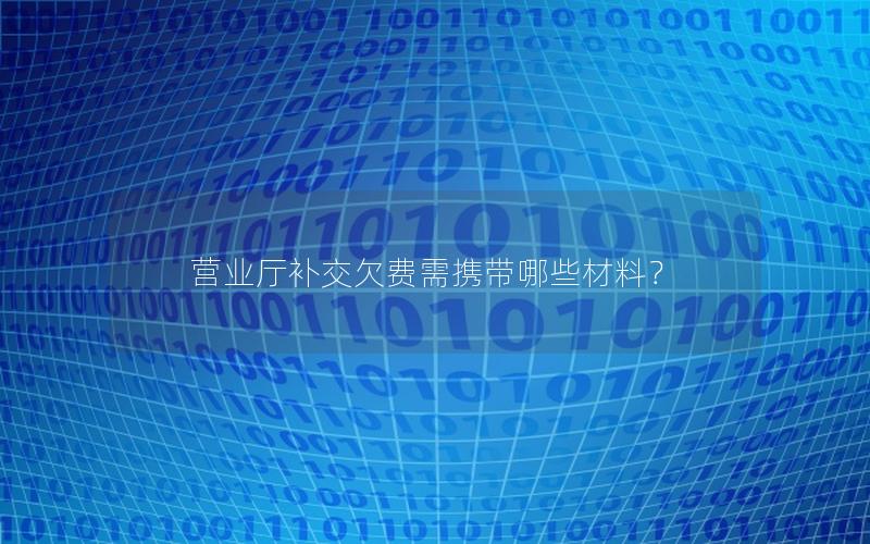 营业厅补交欠费需携带哪些材料？