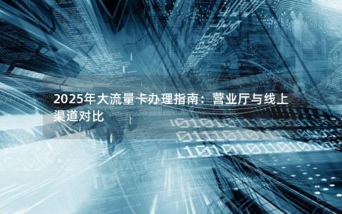 2025年大流量卡办理指南：营业厅与线上渠道对比