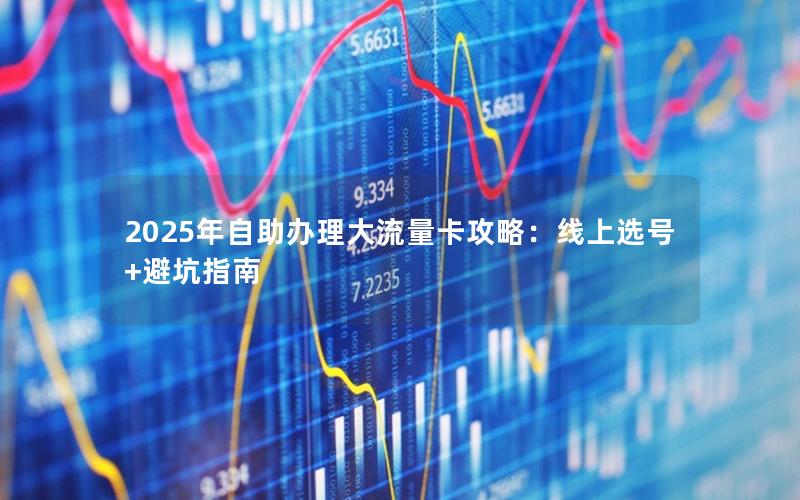 2025年自助办理大流量卡攻略：线上选号+避坑指南