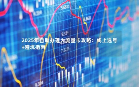 2025年自助办理大流量卡攻略：线上选号+避坑指南