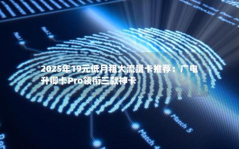 2025年19元低月租大流量卡推荐：广电升卿卡Pro领衔三款神卡